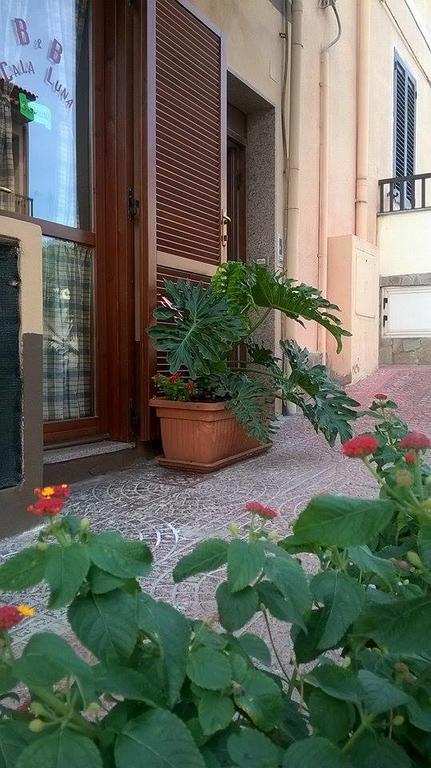 Bed And Breakfast Cala Luna Castelsardo Exterior foto